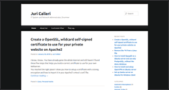 Desktop Screenshot of juricalleri.net